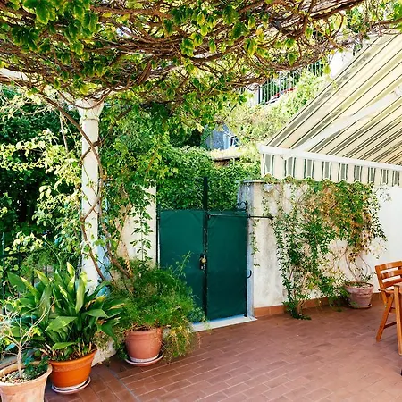 Hedera Estate, Hedera A27 * Dubrovnik